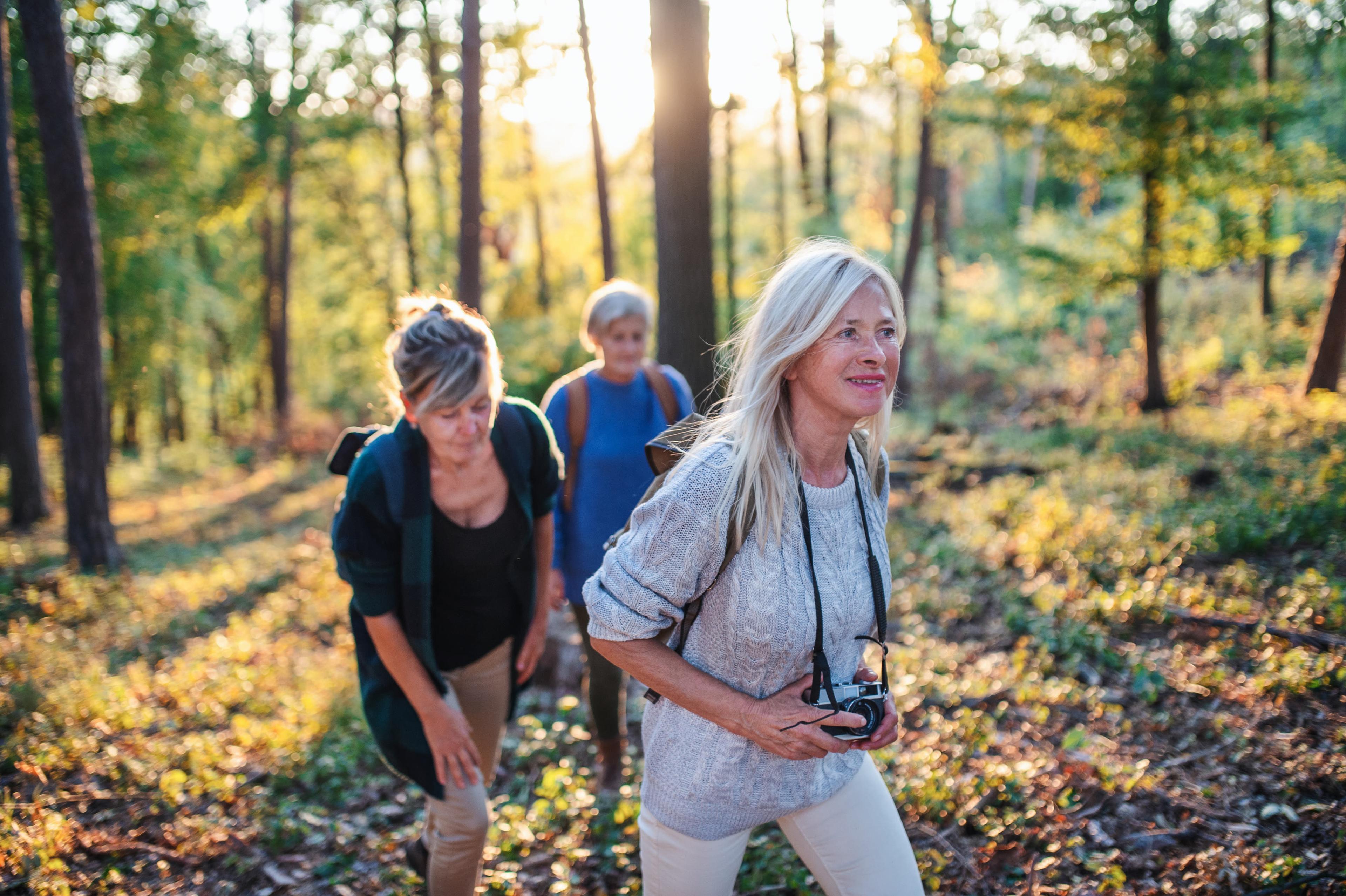 Hikers in forest